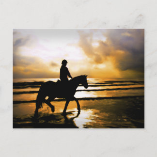 CARTE POSTALE RIDER CHEVAL SUR LA PLAGE