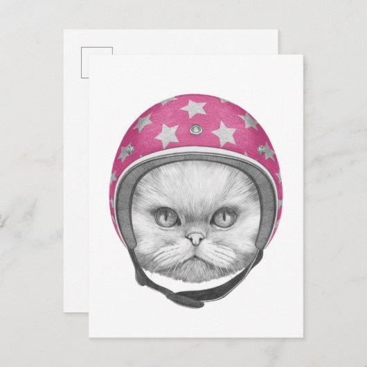 Carte Postale Rider en moto chats perse (Devant / Derrière)