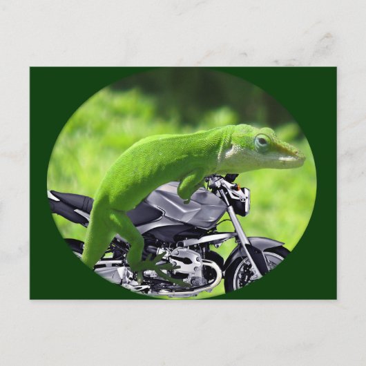 Carte Postale Rider Hawaiian Gecko (Devant)