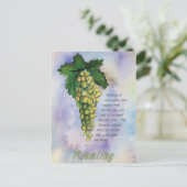 Carte postale Riesling Vins (Debout devant)