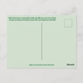 Carte Postale Rifle Falls State Park (Dos)