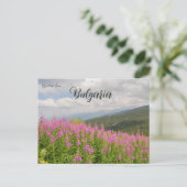 Carte Postale Rila Mountains and Pink Flowers in Bulgaria (Debout devant)