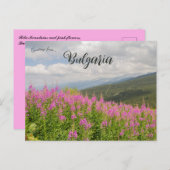 Carte Postale Rila Mountains and Pink Flowers in Bulgaria (Devant / Derrière)