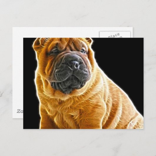 Carte Postale Rincement, Chinois Shar Pei Chien Coquelicot (Devant / Derrière)