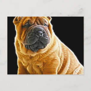 Carte Postale Rincement, Chinois Shar Pei Chien Coquelicot