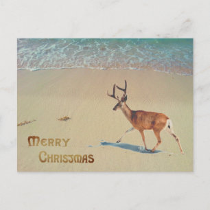 Carte Postale Rinder sur la plage surréaliste Joyeux Noël