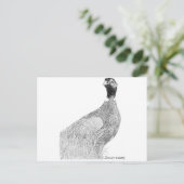 Carte Postale Ringneck Pheasant (Debout devant)