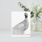 Carte Postale Ringneck Pheasant (Debout devant)