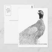 Carte Postale Ringneck Pheasant (Devant / Derrière)