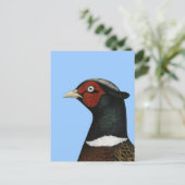 Carte Postale Ringneck Pheasant Head (Debout devant)