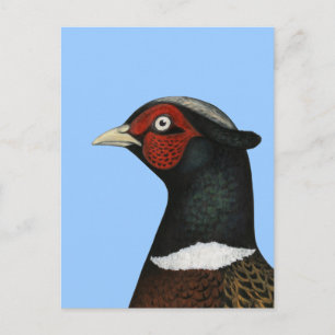 Carte Postale Ringneck Pheasant Head