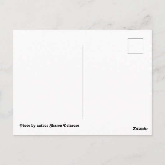 Carte Postale Rio Frio River Concan Texas Garner State Park Tree (Dos)