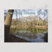 Carte Postale Rio Frio River Concan Texas Garner State Park Tree (Devant)