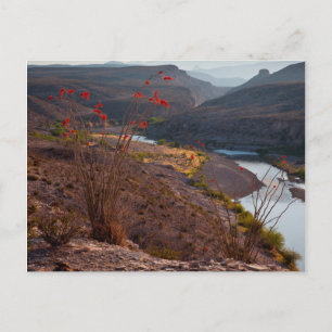Carte Postale Rio Grande traversant le désert de Chihuahuan