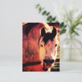 Carte Postale Rire (Debout devant)