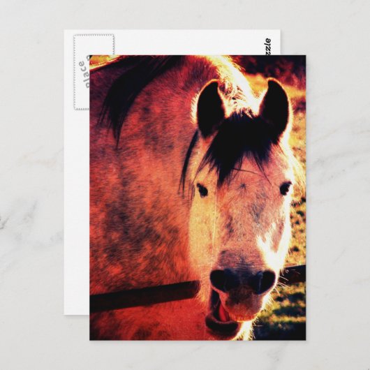 Carte Postale Rire (Devant / Derrière)