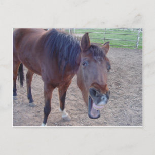 Carte Postale Rire d'ange