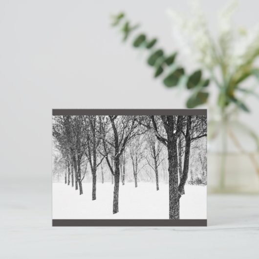 Carte Postale ris I side with trees (Debout devant)