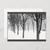 Carte Postale ris I side with trees (Devant / Derrière)