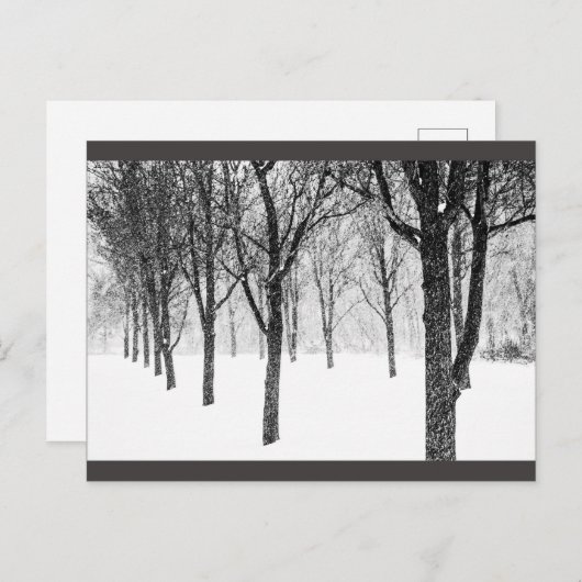 Carte Postale ris I side with trees (Devant / Derrière)