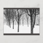 Carte Postale ris I side with trees (Devant)