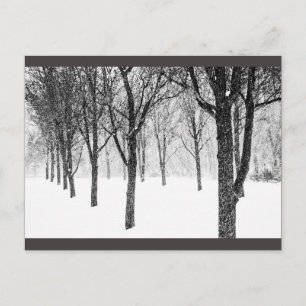 Carte Postale ris I side with trees