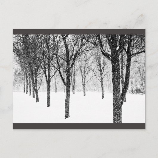 Carte Postale ris I side with trees (Devant)