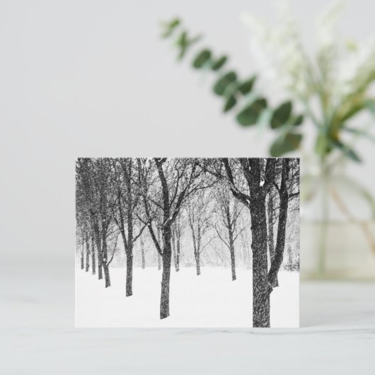 Carte Postale ris I side with trees (Debout devant)