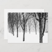 Carte Postale ris I side with trees (Devant / Derrière)