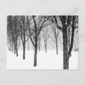 Carte Postale ris I side with trees (Devant)