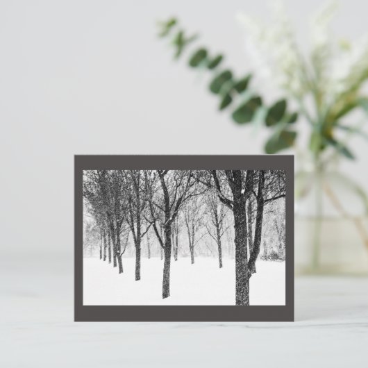 Carte Postale ris I side with trees (Debout devant)