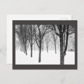 Carte Postale ris I side with trees (Devant / Derrière)