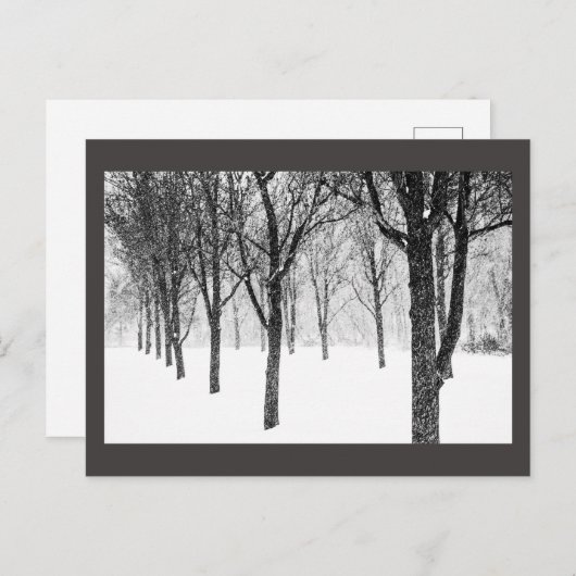 Carte Postale ris I side with trees (Devant / Derrière)