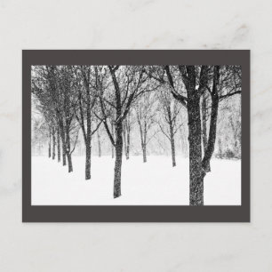 Carte Postale ris I side with trees