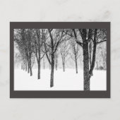 Carte Postale ris I side with trees (Devant)