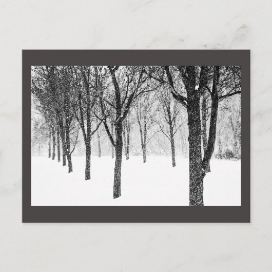 Carte Postale ris I side with trees (Devant)