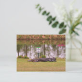 Carte Postale Risque de golf (Debout devant)