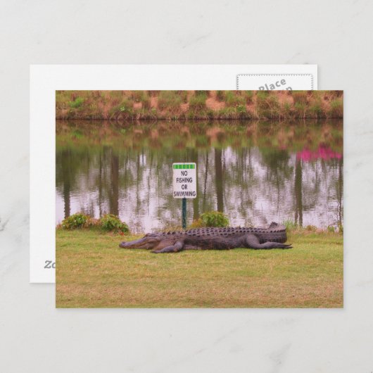 Carte Postale Risque de golf (Devant / Derrière)