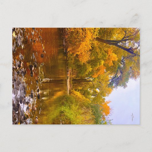 Carte Postale Rivage d'automne (Devant)