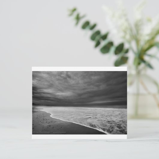 Carte Postale Rive (Debout devant)