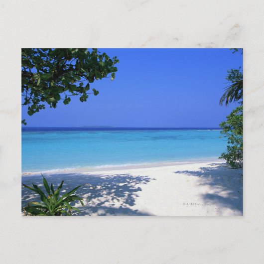 Carte Postale Rive 13 (Devant)