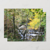 Carte Postale river (Devant / Derrière)