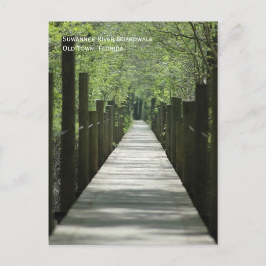 Carte postale River Boardwalk (Devant)