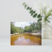 Carte postale - River Sandbar (Debout devant)