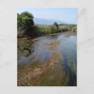 Carte postale River Scene