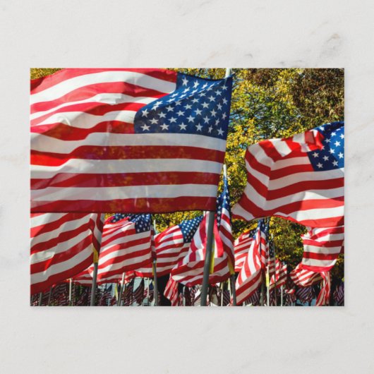 Carte Postale Riverdale, New York, USA. Pays viticole (Devant)