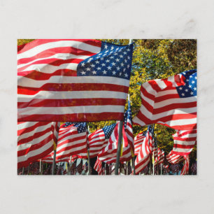 Carte Postale Riverdale, New York, USA. Pays viticole