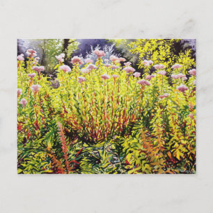 Carte Postale Riverside Fin été