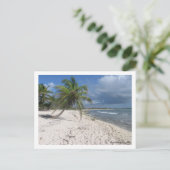 Carte Postale Riviera maya (Debout devant)