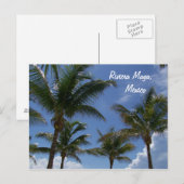 Carte Postale Riviera Maya Cancun Mexique Palmiers des Caraïbes (Devant / Derrière)